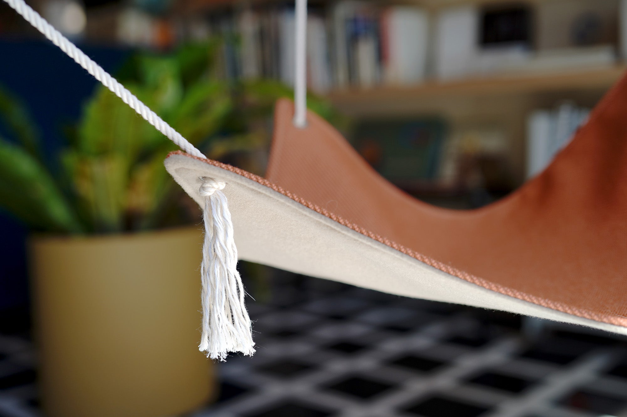 猫のハンモック – Zelt Bookstore