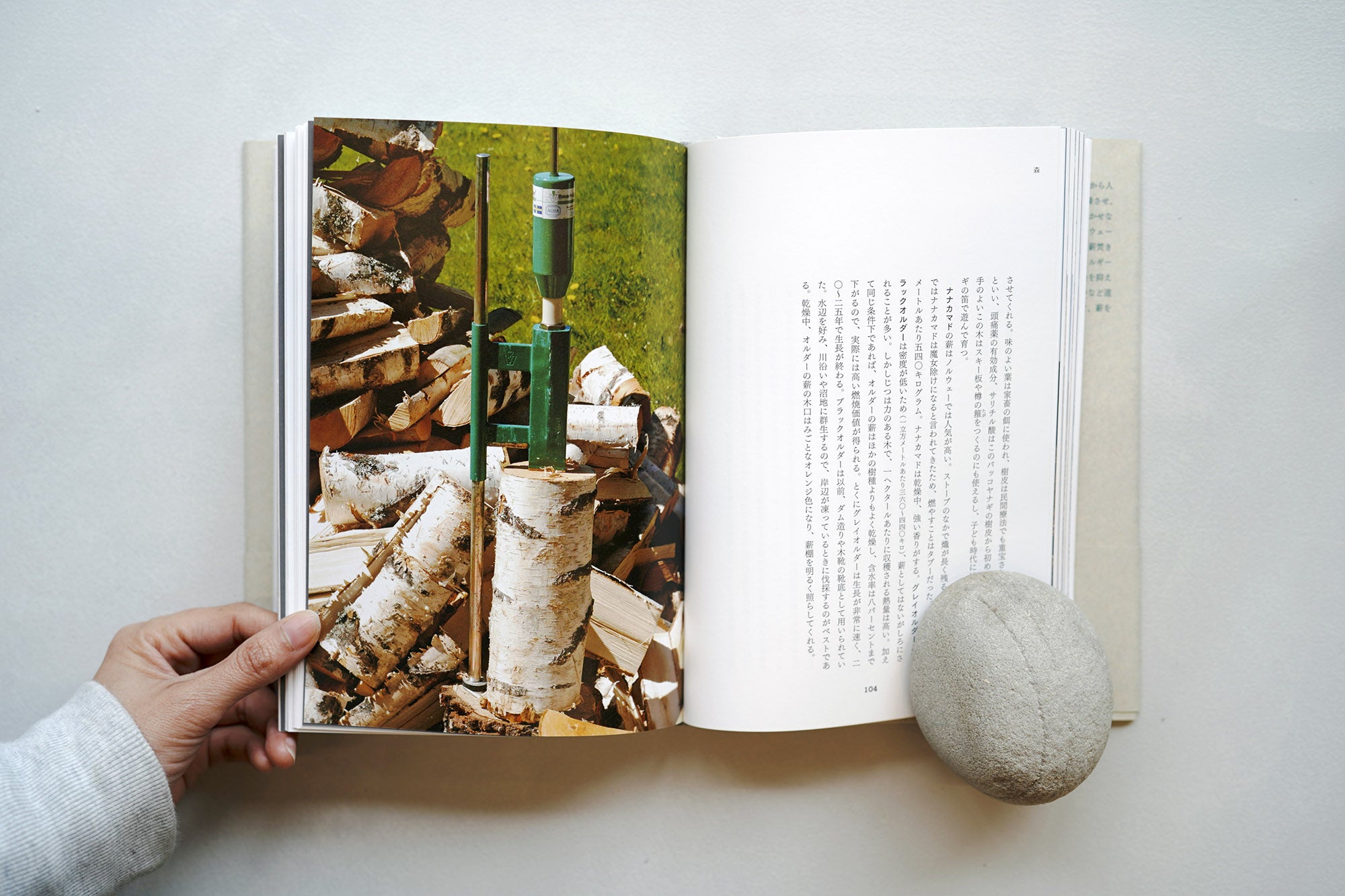 薪を焚く – Zelt Bookstore