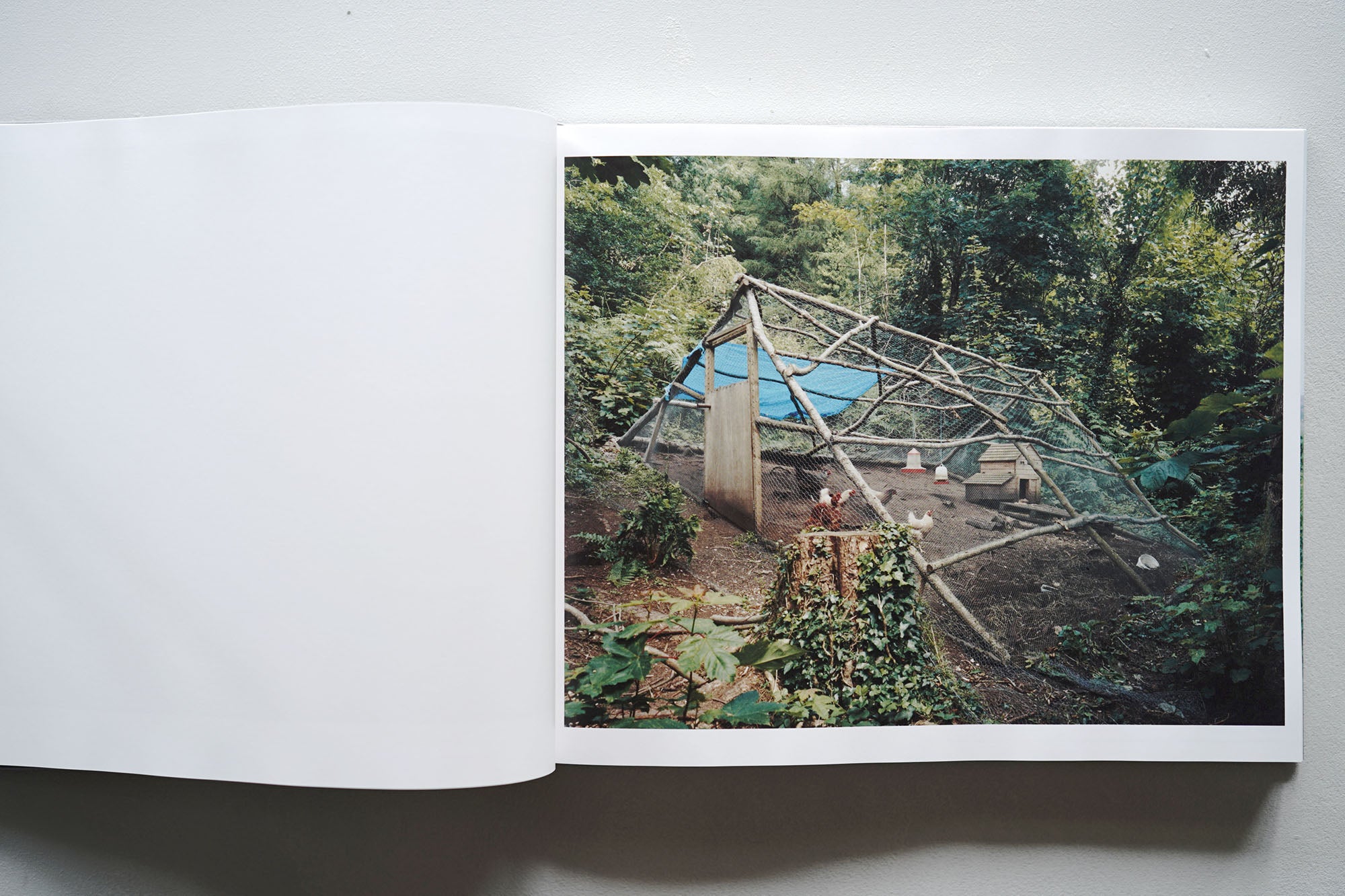 SETTLEMENTS by David Spero – Zelt Bookstore