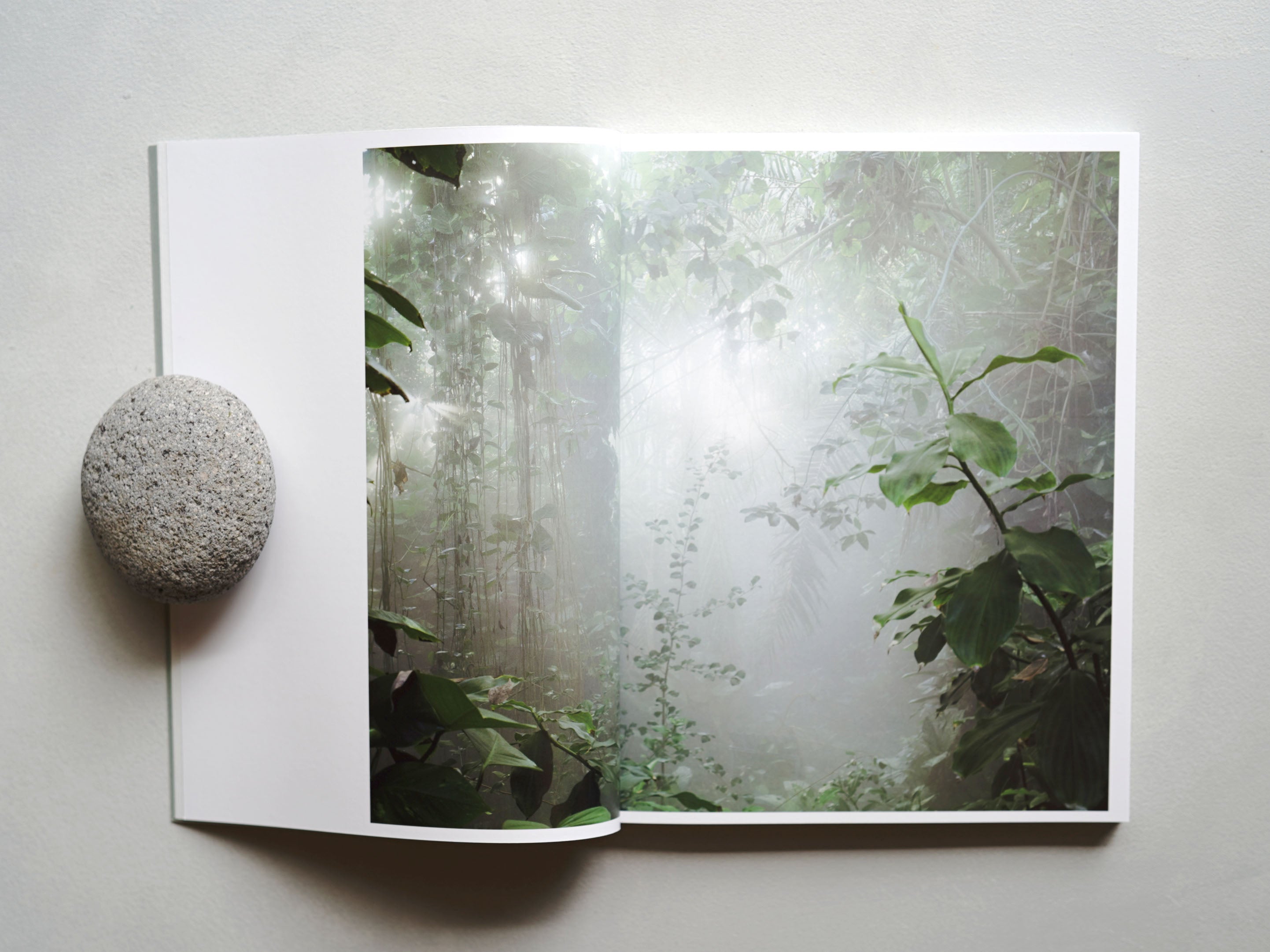 自然写真家 ハンヌハウタラ 写真集 Nature in the Kalevala re_DSC04442_2884x.jpg?v=1717392839