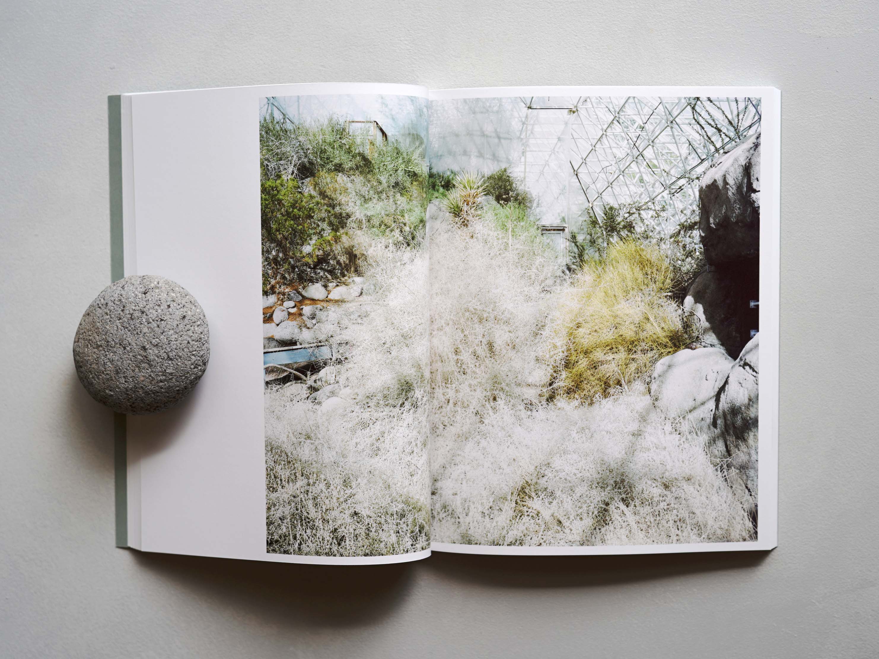 NATURE GUIDE – Zelt Bookstore