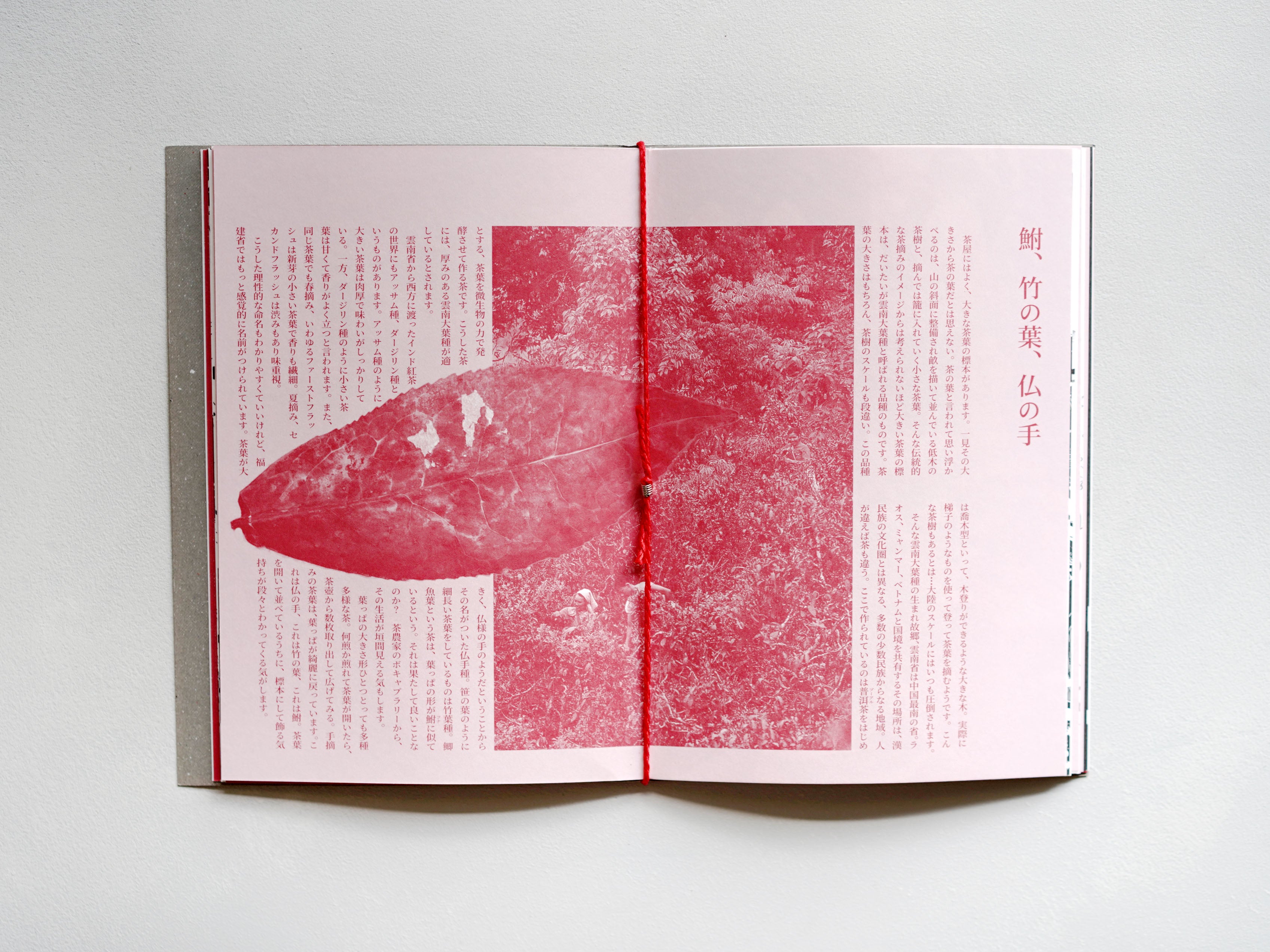 茶酔叢書 巻二 – Zelt Bookstore