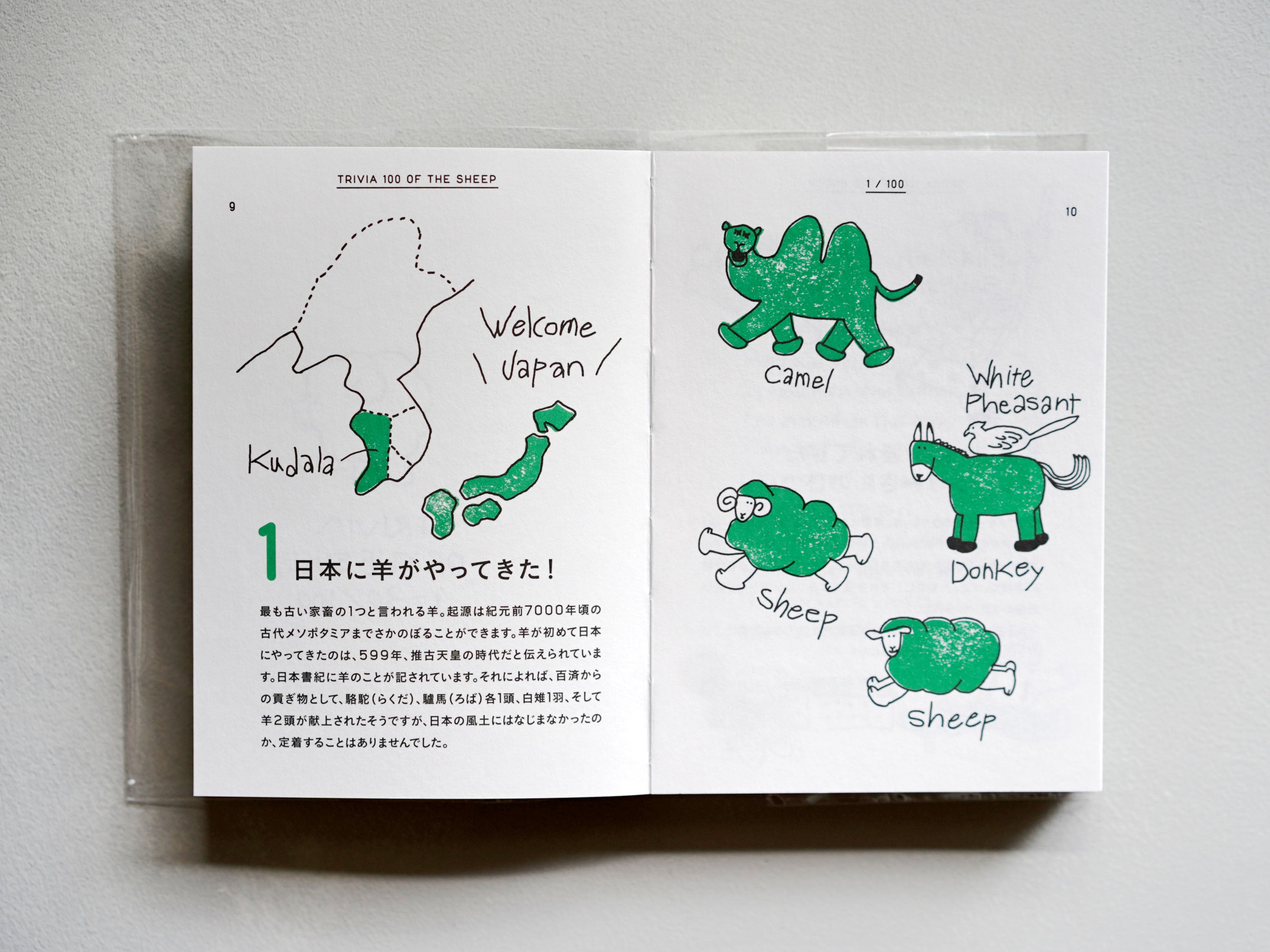 re_DSC05842_3118x.jpg?v=1736742522